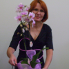 Małgorzata Lis